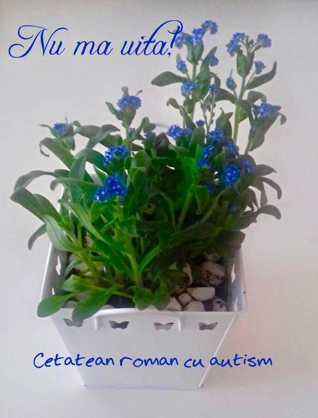 Flori albastre de “ Nu mă uita” de Ziua Internaţională a Conştientizării Autismului
