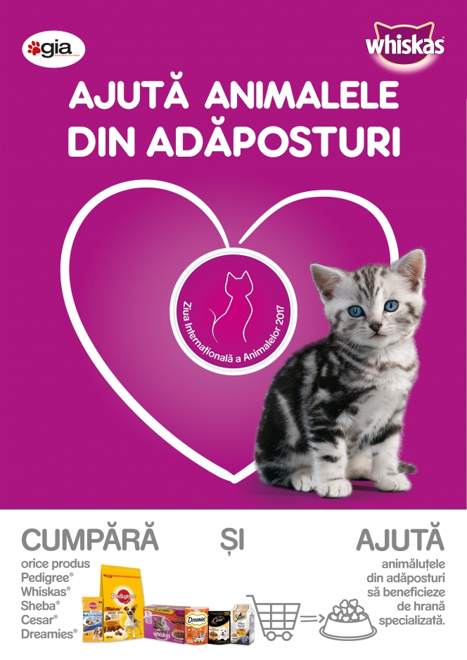 Ajută animalele din adăposturi // Campania de ajutorare a animalelor din adăposturi derulată de Mars Romania