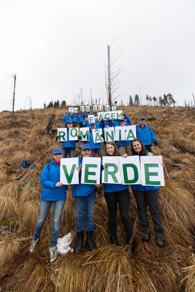 MedLife reîmpădurește o suprafață de 10 ha de teren din munții Făgăraș, prin proiectul „Facem România verde”