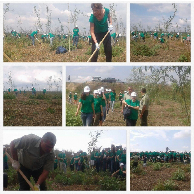 O parte dintre acţiunile de împădurire organizate de „Plantăm fapte bune în România”  se amână pentru data de 25 noiembrie