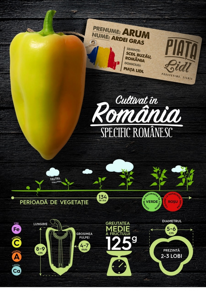 Gustul legumelor de altă dată ajunge în comerțul modern prin proiectul ”Cultivat în România, specific românesc”