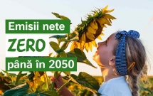 Nestlé își intensifică eforturile de combatere a schimbărilor climatice la nivel global, mizând pe agricultură regenerativă și energie verde