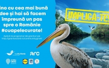Aplică la programul "Cu apele curate", finanțat de Lidl România