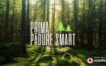 Vodafone pune în funcțiune prima pădure inteligentă din România pentru a preveni defrișările ilegale