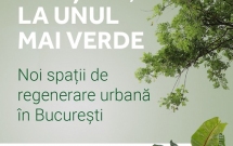 De la un oraș gri, la unul mai verde: două noi spații verzi vor fi amenajate în București