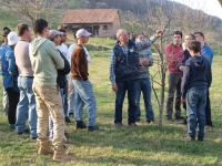Agricultura durabila in zone defavorizate ale Romaniei: Conservarea si valorificarea soiurilor de fructe