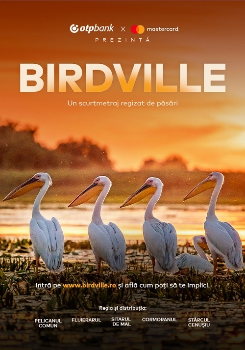 OTP Bank și Mastercard prezintă, în cadrul Festivalului Anonimul, Birdville, un scurtmetraj regizat de păsări