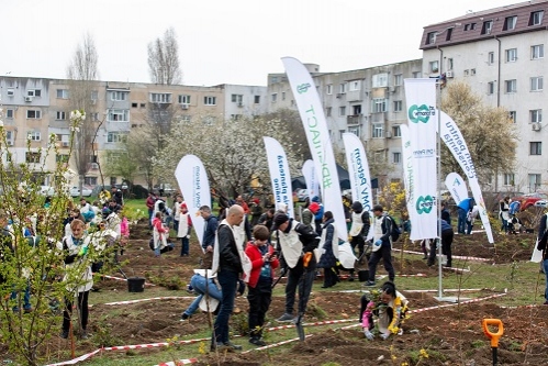 Prima mini-pădure urbană din Constanța a fost plantată în zona Marvimex, Inel 2