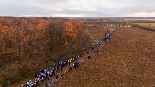 1.270 de voluntari și-au unit forțele pentru a planta o nouă pădure, pe o suprafață de 5 hectare la PlantFest, unul dintre cele mai ample evenimente de plantare din acest an