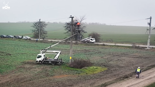 Linii electrice sigure pentru păsările din Dobrogea