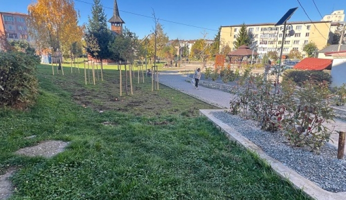 Asociația Zi de Bine inaugurează al șaptelea parc „Plantați în amintire”,  la Câmpulung