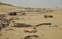 Raportul de monitorizare a porțiunilor de plajă: anul 2019, cel mai murdar de până acum