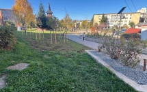 Asociația Zi de Bine inaugurează al șaptelea parc „Plantați în amintire”,  la Câmpulung