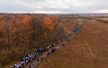 1.270 de voluntari și-au unit forțele pentru a planta o nouă pădure, pe o suprafață de 5 hectare la PlantFest, unul dintre cele mai ample evenimente de plantare din acest an